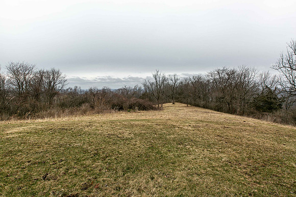 7683 ECHO VALLEY047
