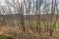 16 FARMSTEAD016