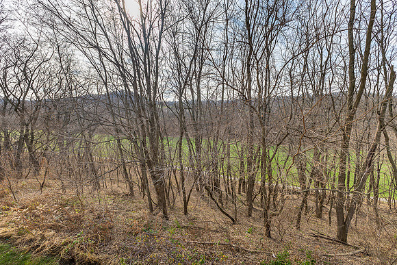 16 FARMSTEAD016