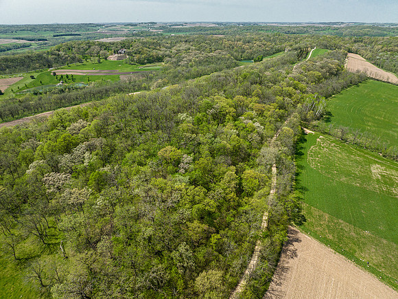 HAMMER RD DRONE021