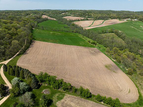 HAMMER RD DRONE015