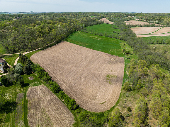 HAMMER RD DRONE016