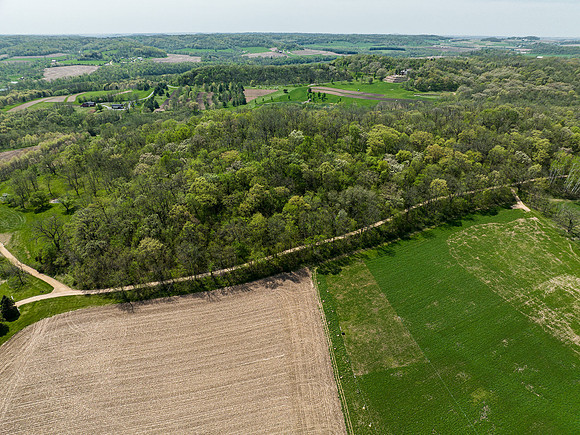 HAMMER RD DRONE020